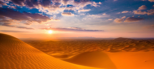 MOORISH TRAVEL AGENCY